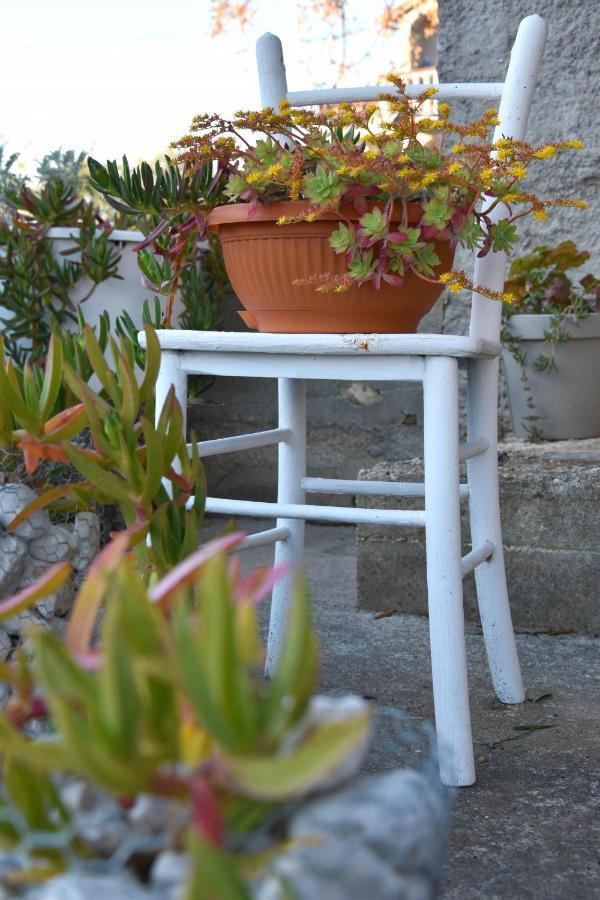 Greenvine Apartment Zadar Exterior photo